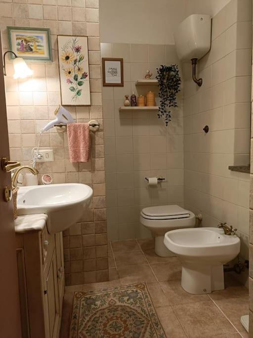 D'Amico Home Experience - Frosinone Centro Екстериор снимка