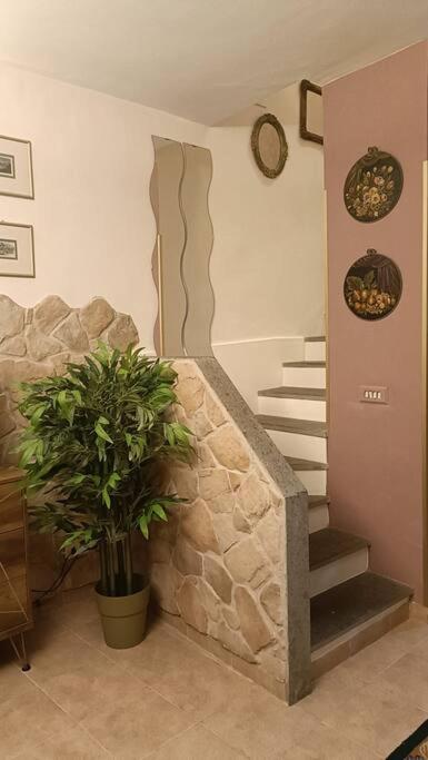 D'Amico Home Experience - Frosinone Centro Екстериор снимка