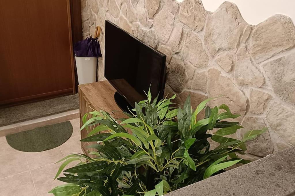 D'Amico Home Experience - Frosinone Centro Екстериор снимка
